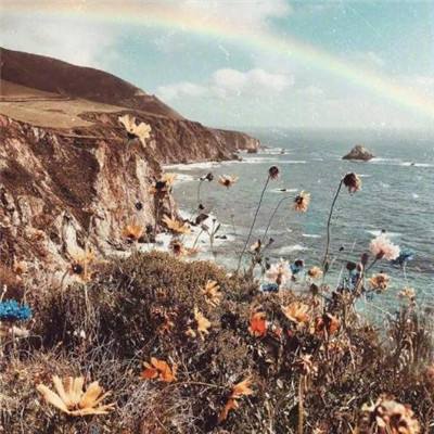 银河守卫队bt版下载